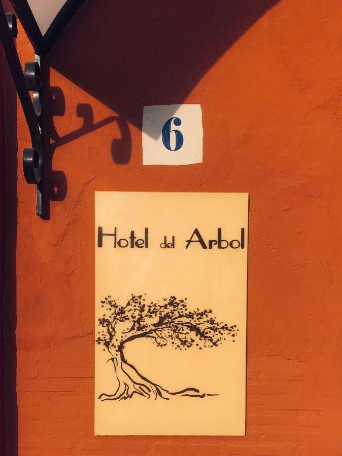 Hotel Del Arbol Xativa Luaran gambar